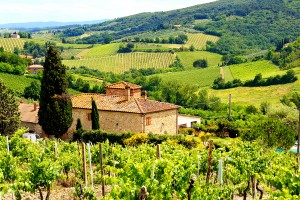 Classic Tuscan landscape